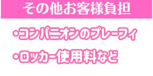 その他のお客様負担