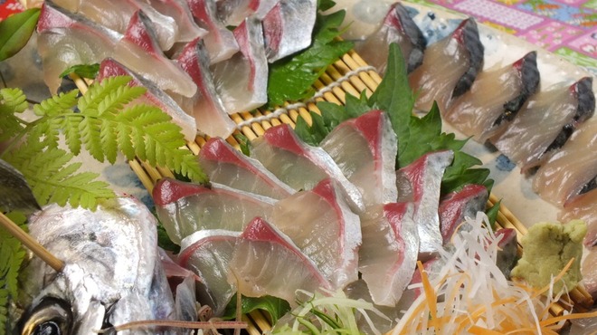 魚魚(トト)